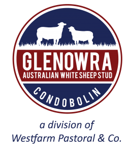 Glenowra Logo
